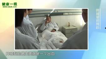 乳头视频免费国产,免费国产乳头视频，引领潮流的视觉盛宴