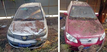 国产僵尸车视频,揭秘废弃车辆背后的秘密