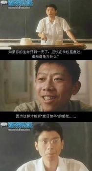 怎么看国产张老师的视频,揭秘教学新风尚