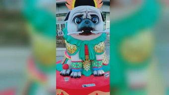 视频国产小青蛙搭讪,萌翻网友心  第2张