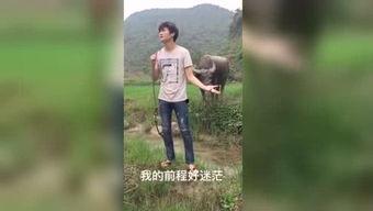 国产福利刺激视频视频,揭秘国内影视新潮流 第2张 国产福利刺激视频视频,揭秘国内影视新潮流 第2张