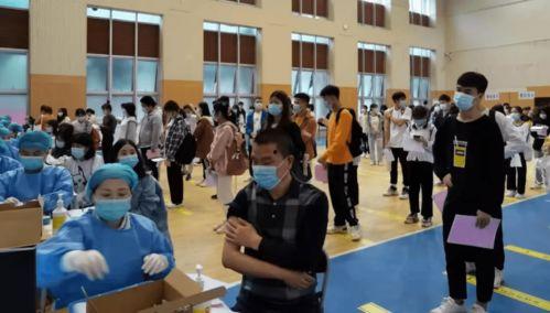 国产库克最新消息视频讲解,揭秘视频讲解背后的创新与突破