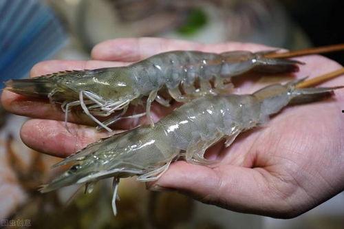 国产鳌虾熟吃好吃吗视频,视频揭秘家常美味新选择