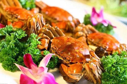 国产鳌虾熟吃好吃吗视频,视频揭秘家常美味新选择  第3张