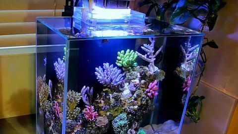 国产鱼缸介绍视频,创新设计，品质生活新选择  第1张