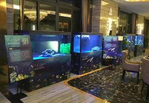 国产鱼缸介绍视频,创新设计，品质生活新选择  第2张